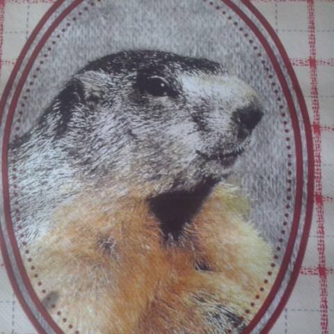 Photo of the user Member 3